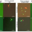 서유산업 이미지