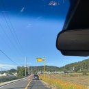핑크빛청춘들 | 연천 댑싸리공원 핑크빛 물결 🌸세라비한옥카페,재인폭포,한탄강y자출렁다리, 비둘기낭폭포까지 하루...