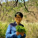 송원농장민박 이미지