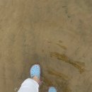 번화2로L | [시험] 화학분석기사 작업형-서산공고