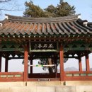 반구정습지 이미지