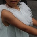 쁘띠샤방 이미지