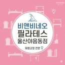 비앤비 | 울산 야음동 필라테스ㅣ체형 고민으로 찾은 비앤비네오 필라테스 울산야음점 후기