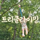 충남 공주 트리클라이밍 7세 10세 아이들 신나는 숲체험