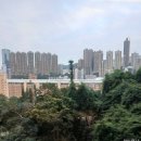 [홍콩 여행기 Fin.] 빅토리아 피크 버스&트램 모두 타본 후기, 템플 스트리트 야시장, 기념품 쇼핑