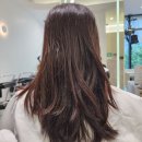 한결강아지미용실 | 대화동미용실 볼륨매직 후기 | 30%할인받는 법 | 청담 출신 원장님: <소호 일산킨텍스점>