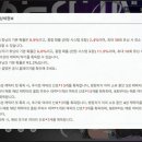 벨리나 이미지