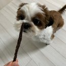 달래홀릭 이미지