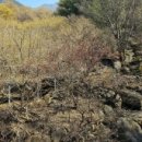 상위마을 입구 이미지