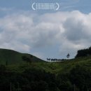 동성축산 | 26년 8월 둘째 주 영화 결산