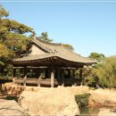 정자중학교 이미지