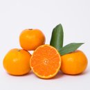 닥터모락(부천상동점) 이미지