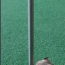 신기골프연습장(실외) 이미지