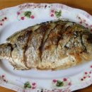 탄도 섬마을 이미지