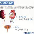 신우헬스 이미지