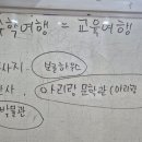 평화어린이집 이미지