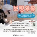 보령유기농법인 이미지