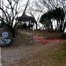 황령산 벚꽃약수터 네이버블로그