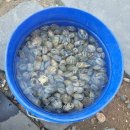 까꿍펜션 이미지