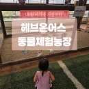 이원로 | [용인] 15개월아기랑 가볼만한곳 용인동물체험농장 &#39;헤븐온어스&#39; 동물농장 솔직후기