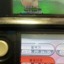 레옐 이미지