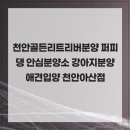 퍼피댕 안심분양소 강아지분양 애견입양 천안아산점 | 사랑을 선물하는 천안골든리트리버분양 퍼피댕 안심분양소 강아지분양 애견입양 천안아산점