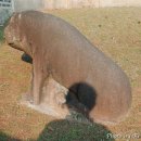 왕릉복권 이미지