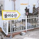 똘이수산