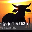 우도할계(牛刀割鷄) - 소 잡는 칼로 닭을 잡다 이미지