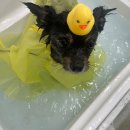 멍멍미용실 이미지