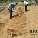 바이오농장 이미지