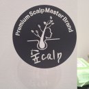 숲칼프보라매 이미지