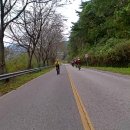 보성강5 이미지