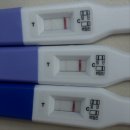 우병락 네이버블로그