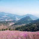 천주산 입구 | 창원 천주산 완전 가이드 — 달천계곡 코스·용지봉 정상·진달래 개화 시기·주차까지 총정리