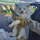 우성아파트 후문 이미지