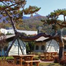 포니랜드 이미지