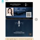 인투더씨프리다이브