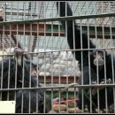 서울대공원 이미지