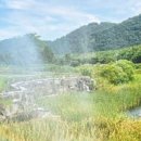 태화강국가정원 이미지