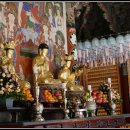 일향(一香) 이미지