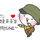 텐퍼센트커피수영현대점 이미지