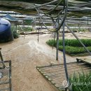 김현중농장 이미지