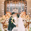 빛새김 본식스냅 플라워샤워 모아보기 - 버진로드 엔딩컷 예쁜웨딩사진 스냅작가 추천 결혼식 출장 촬영...