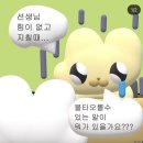 종강후기
