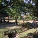 태학산자연휴양림 잔디광장 이미지