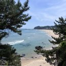 삼척해수욕장A | 쏠비치 삼척 내돈내산 숙박 후기 🌊 부대시설부터 근처 카페•오션뷰까지 솔직후기/삼척숙소추천/뚜벅이여행