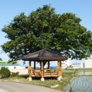 포항시남구37 이미지