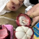 가오농장2 이미지