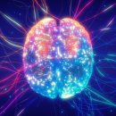 지운 정보 되살리는 AI 재학습 공격 막는다 이미지